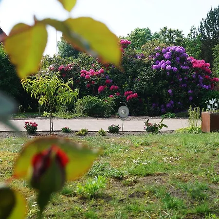 Kirschbluete 55182 * Detern